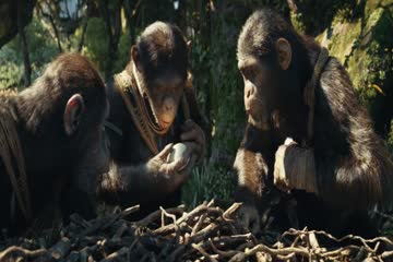 Kingdom of the Planet of the Apes 2024 Dub in Hindi thumb