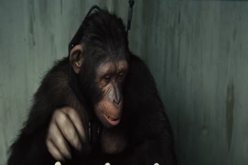 Rise of the Planet of the Apes 2011 Dub in Hindi thumb